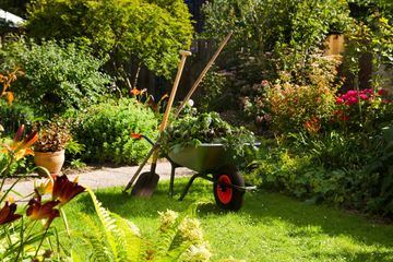 company_name], Working with wheelbarrow in the garden 